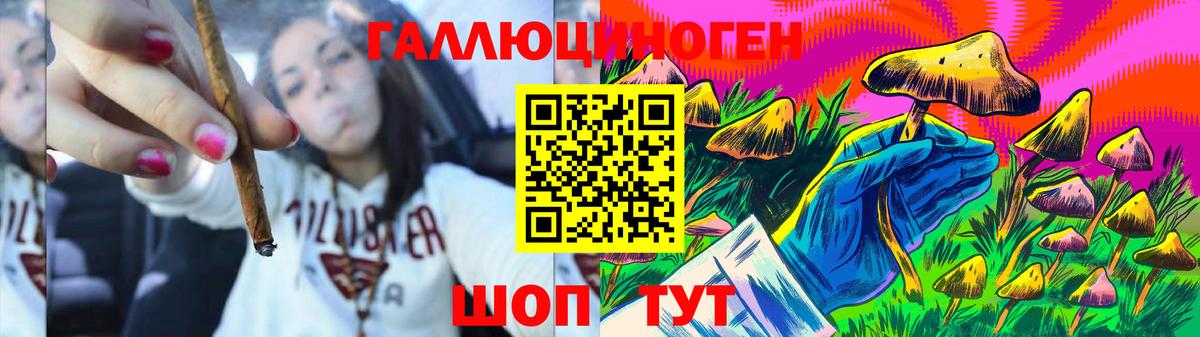 Отрадное  Псилоцибиновые грибы мицелий  Вход с VPN 